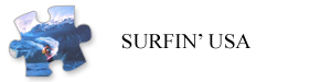 Surfin’ USA Bachelor Theme