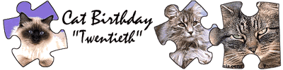 Party Supplies for All Occasions... click here!