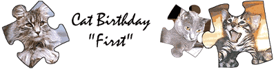 Party Supplies for All Occasions... click here!