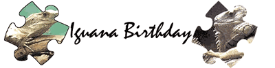 Party Supplies for All Occasions... click here!