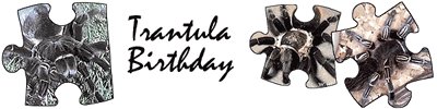 Party Supplies for All Occasions... click here!